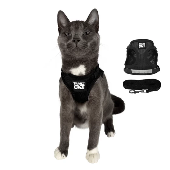 Pattern Cat Collar